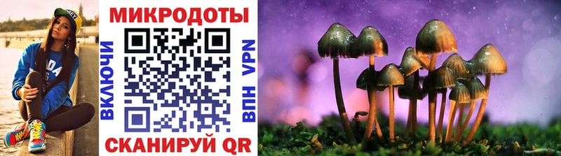 Галлюциногенные грибы MAGIC MUSHROOMS нарко площадка Telegram Нерчинск